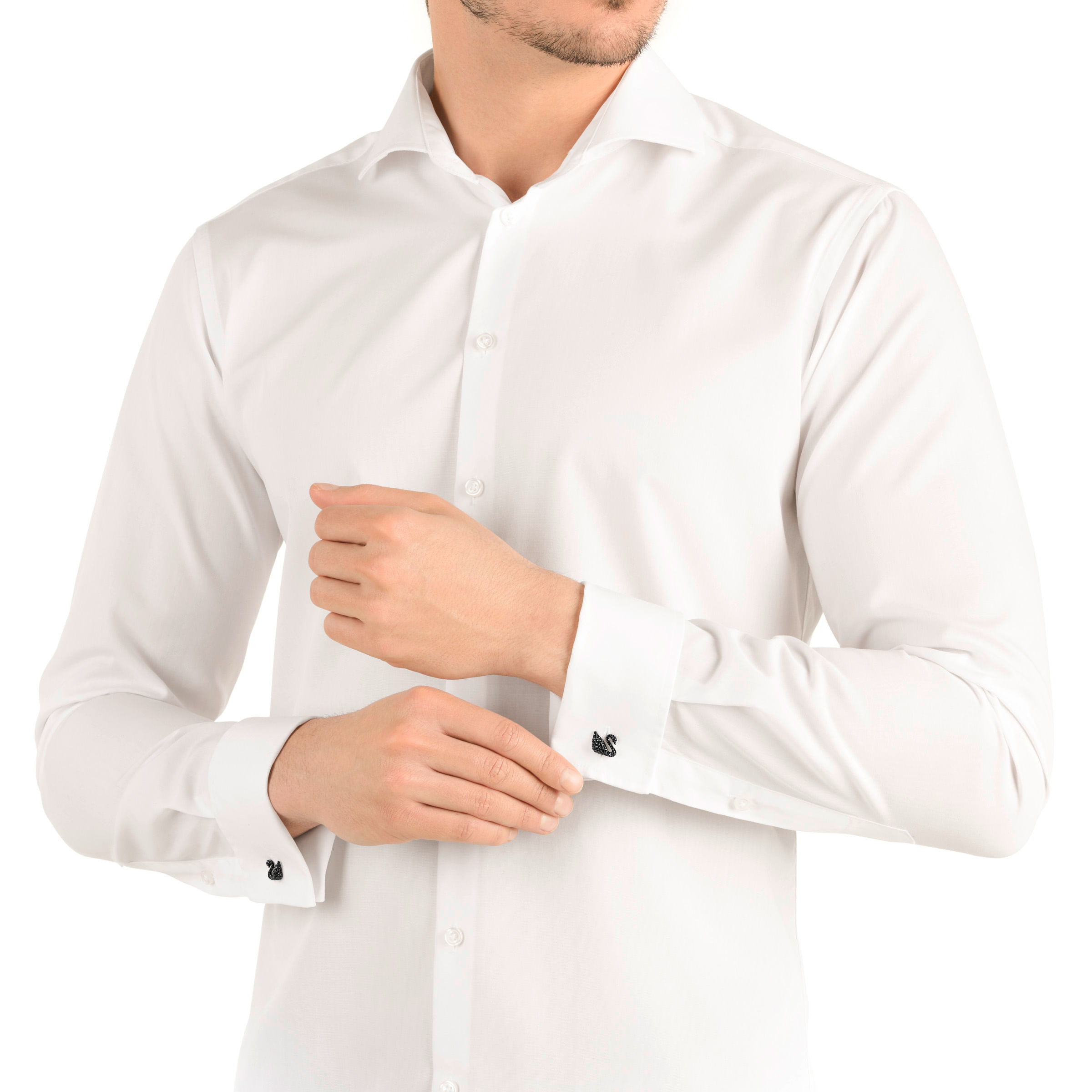 Imagem modelo efeito hover