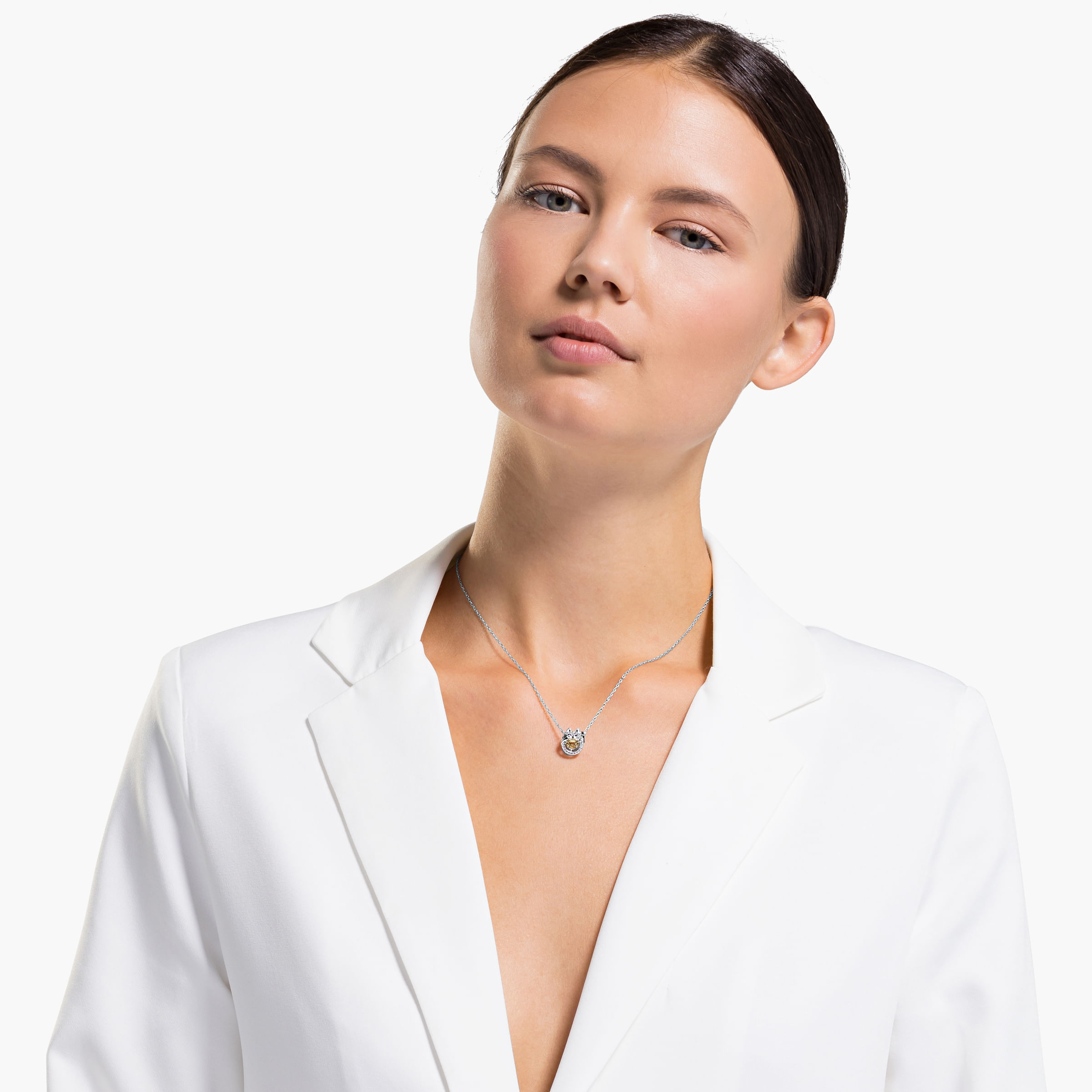 Imagem modelo efeito hover