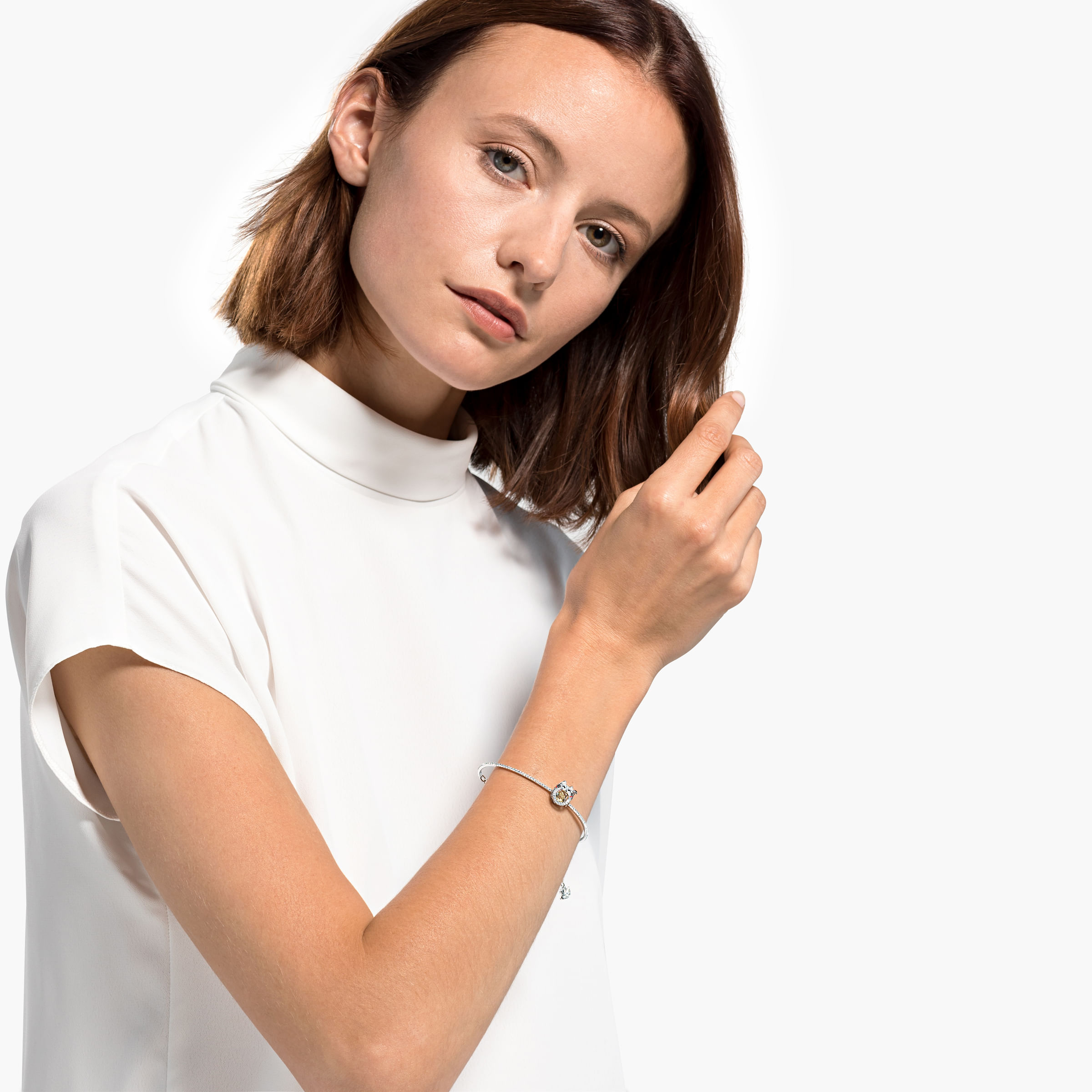 Imagem modelo efeito hover