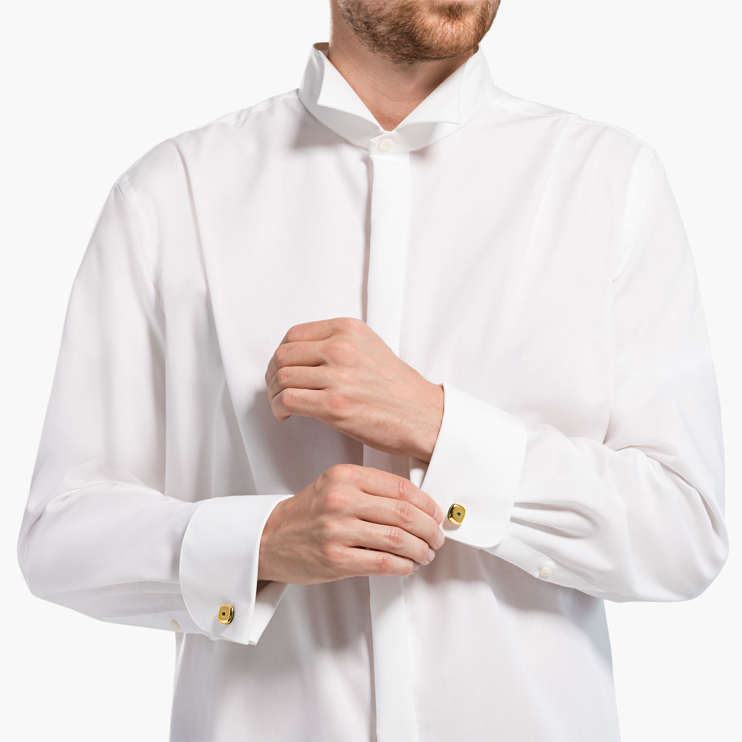 Imagem modelo efeito hover