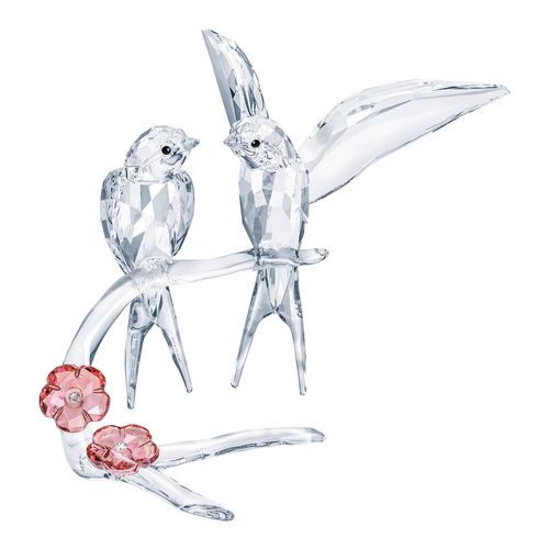 Swallows