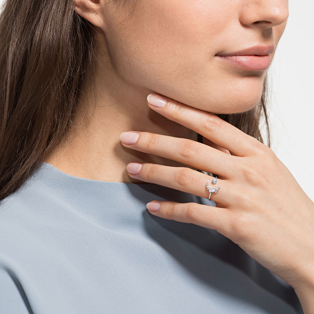 Imagem modelo efeito hover