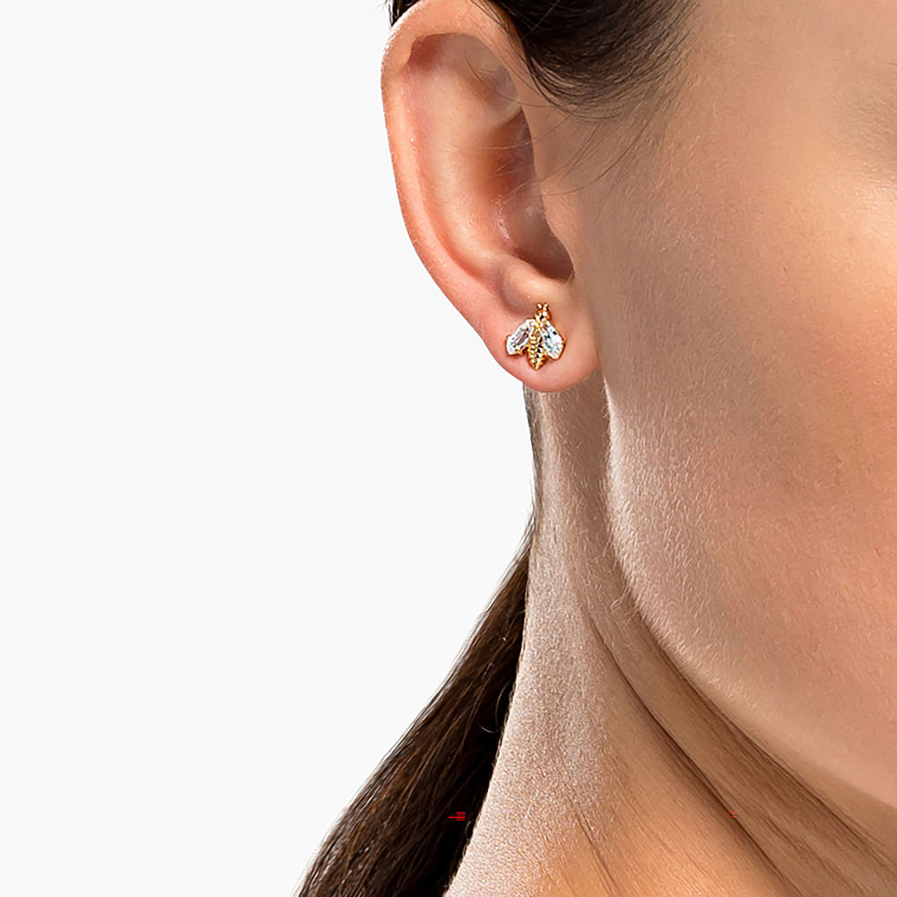 Imagem modelo efeito hover