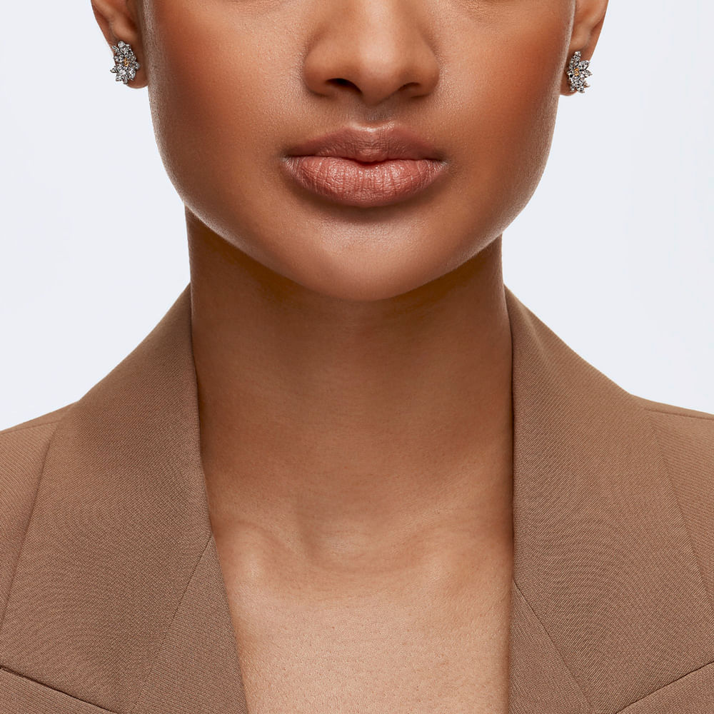 Imagem modelo efeito hover