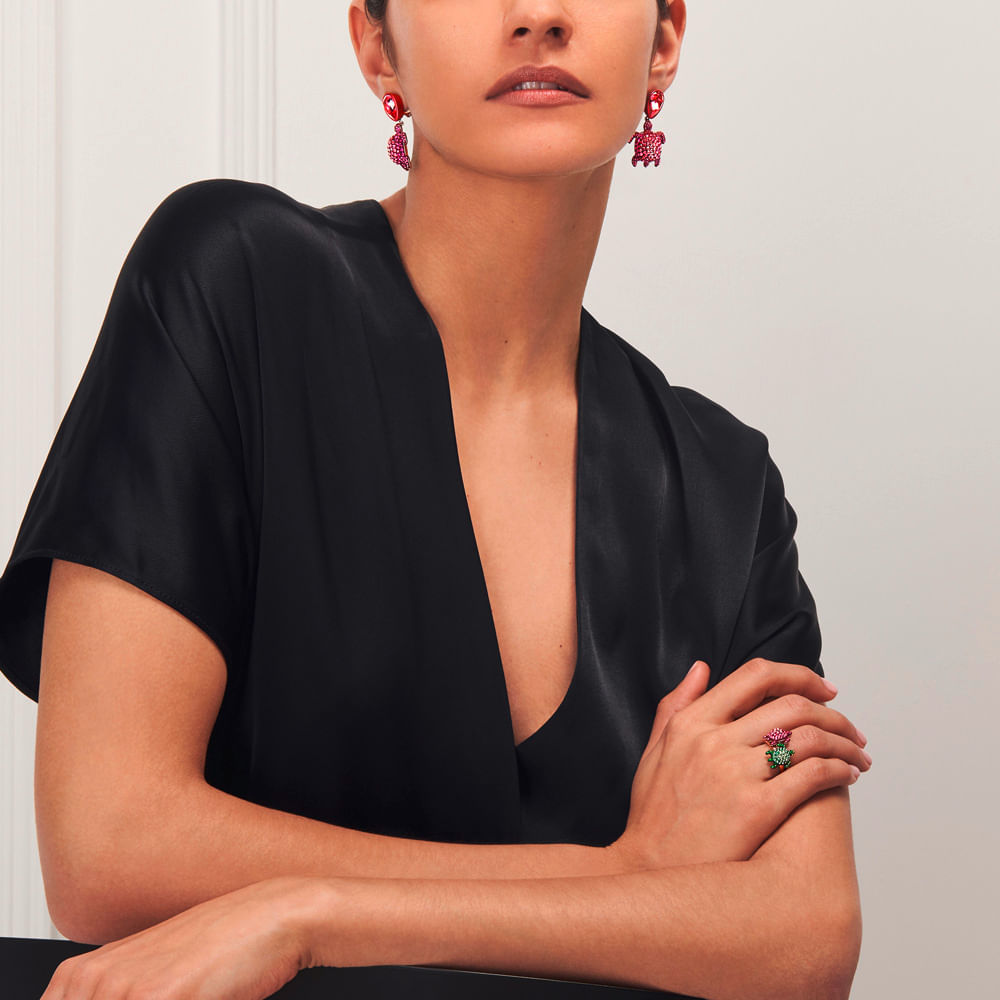 Imagem modelo efeito hover