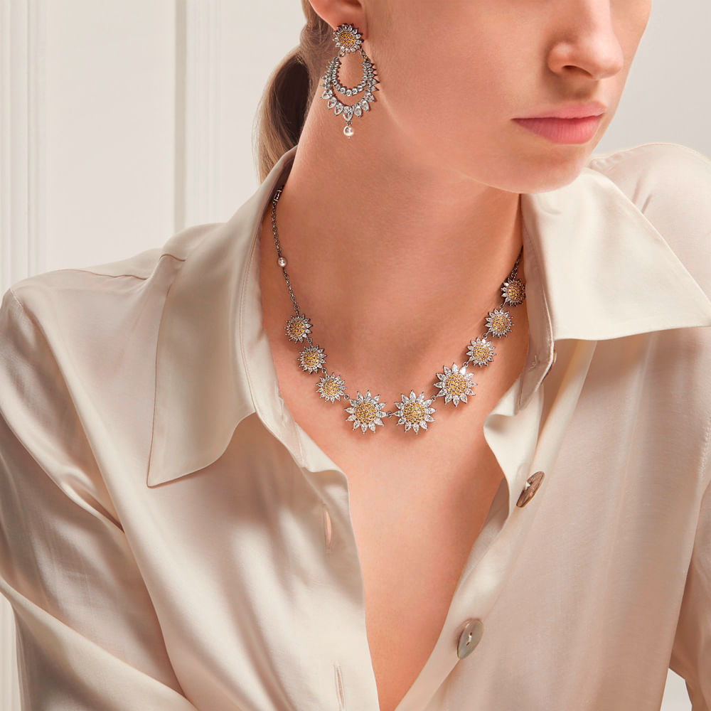 Imagem modelo efeito hover