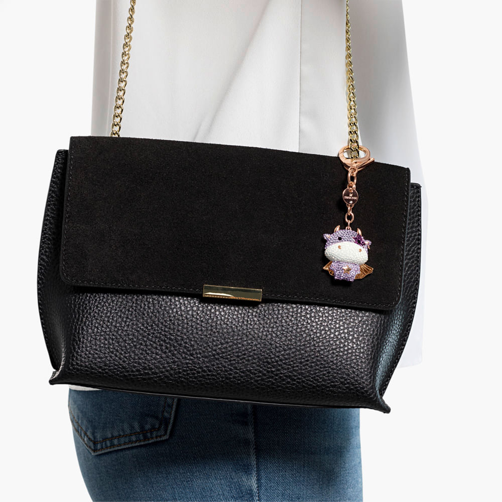 Imagem modelo efeito hover