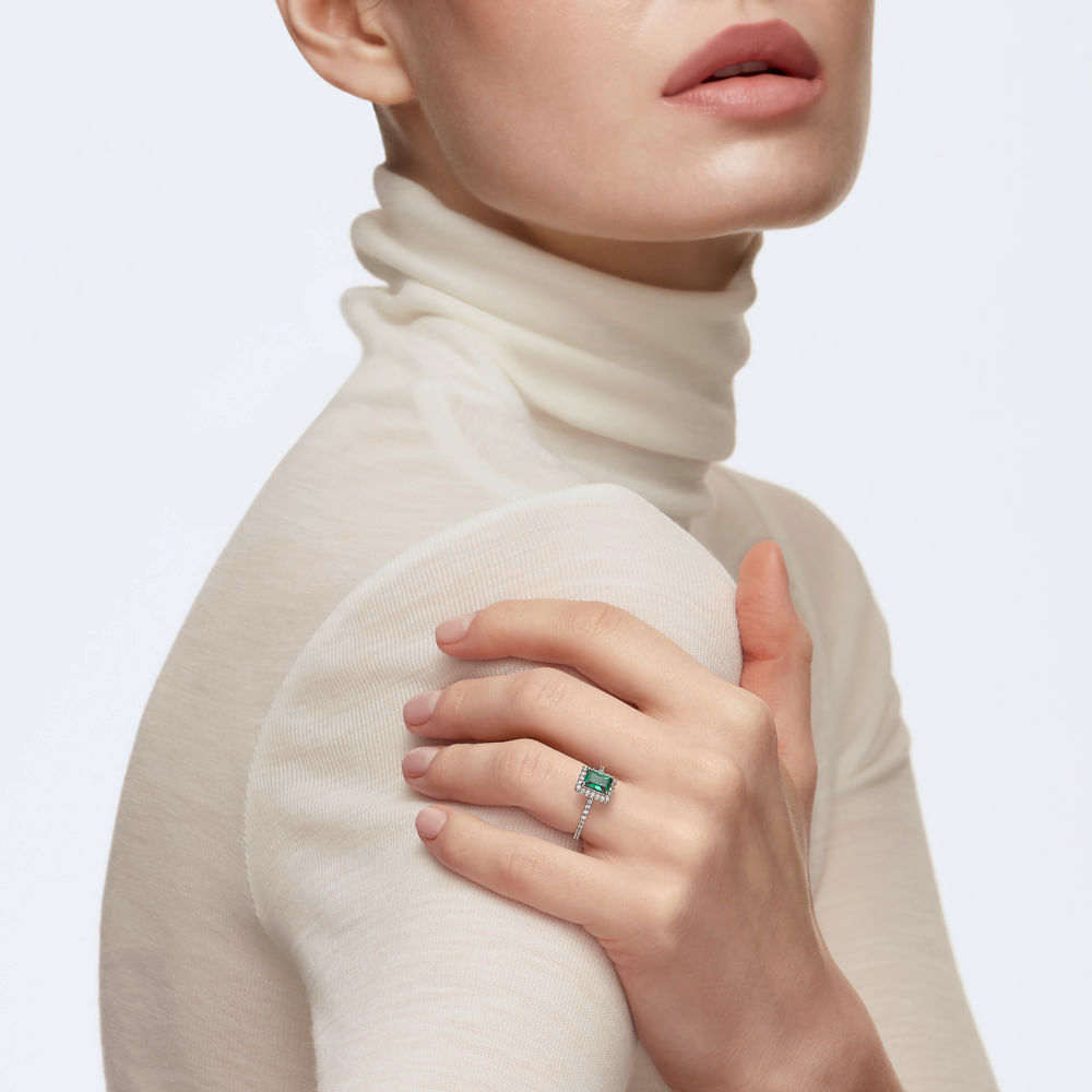 Imagem modelo efeito hover