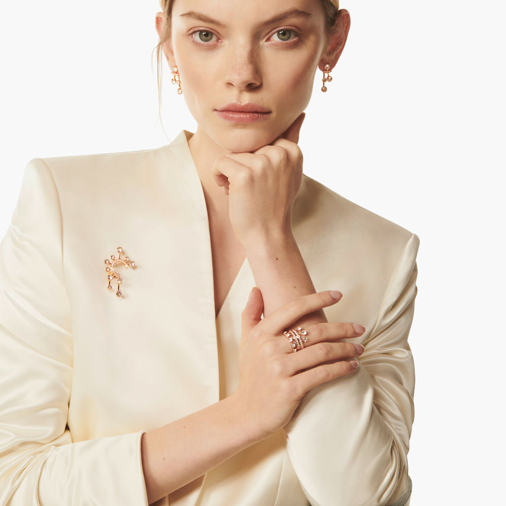 Imagem modelo efeito hover