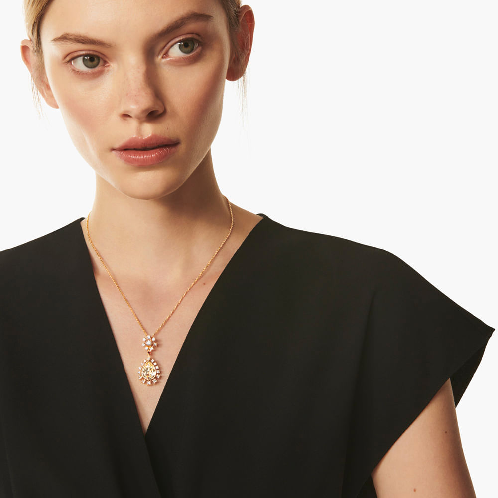 Imagem modelo efeito hover