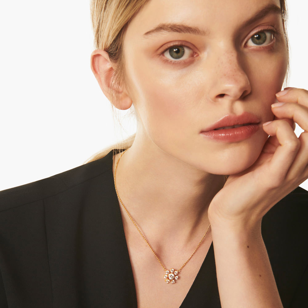 Imagem modelo efeito hover