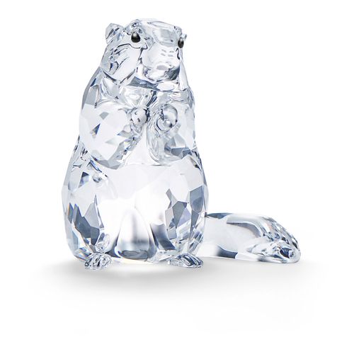 SCS Marmot (Event Piece 2020)