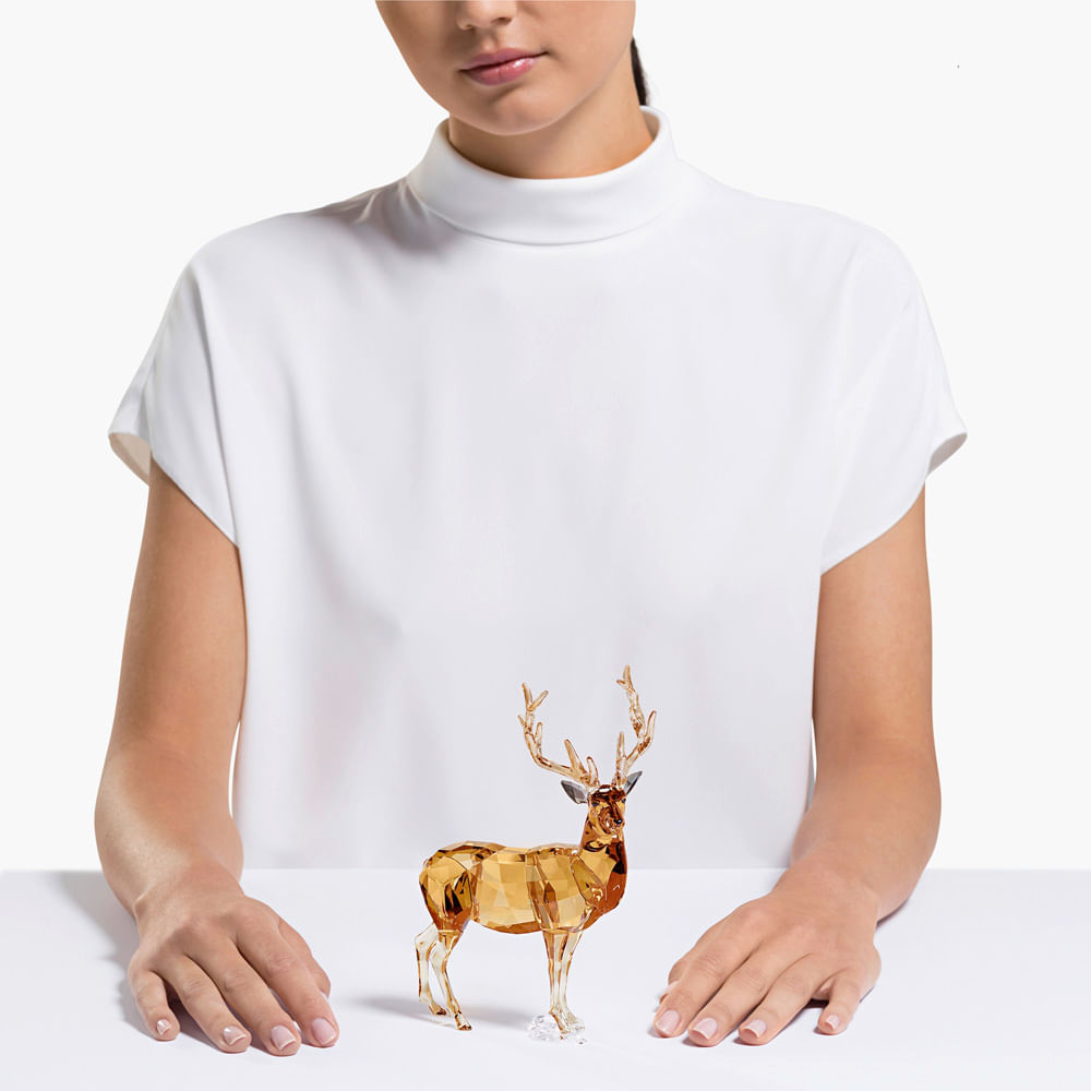 Imagem modelo efeito hover