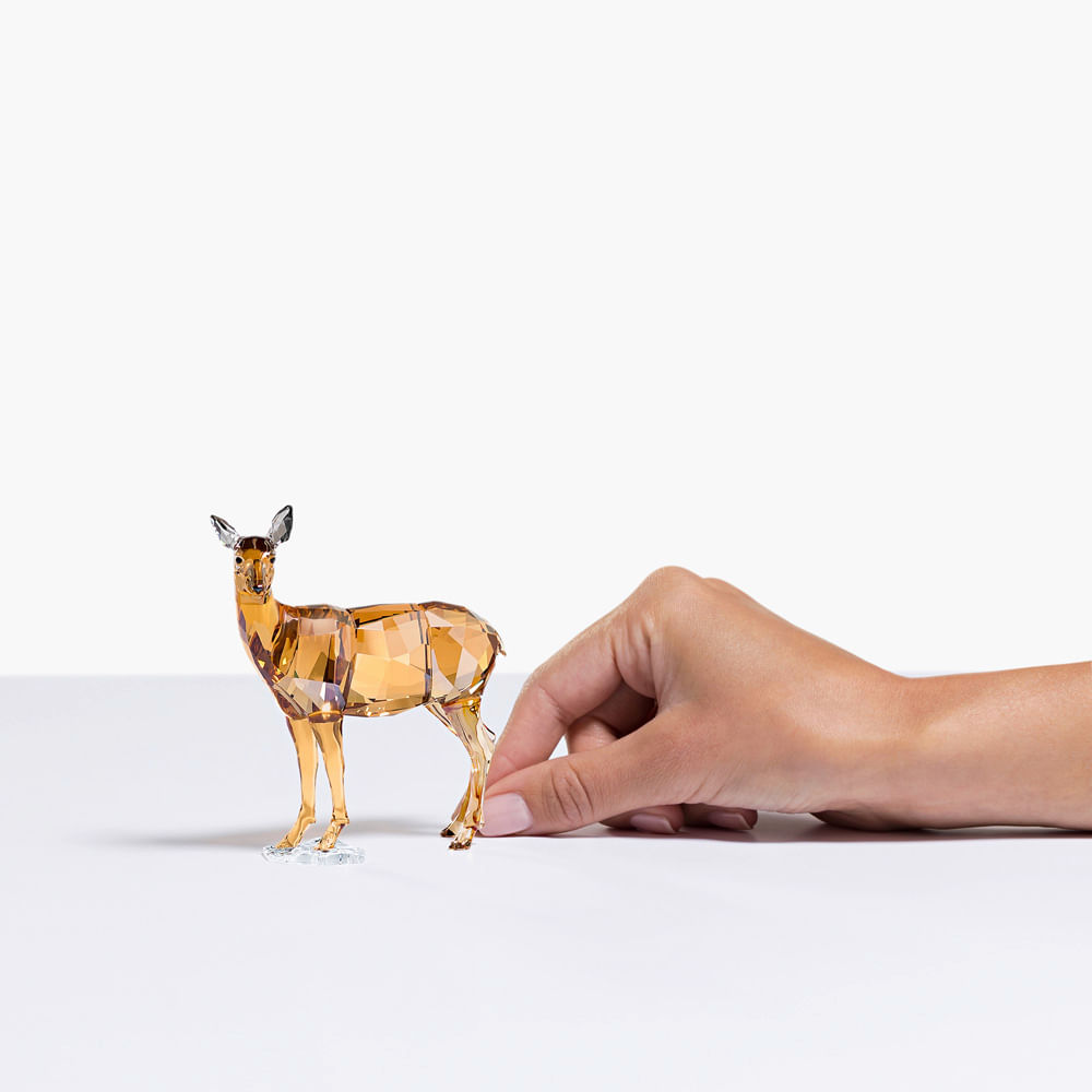 Imagem modelo efeito hover