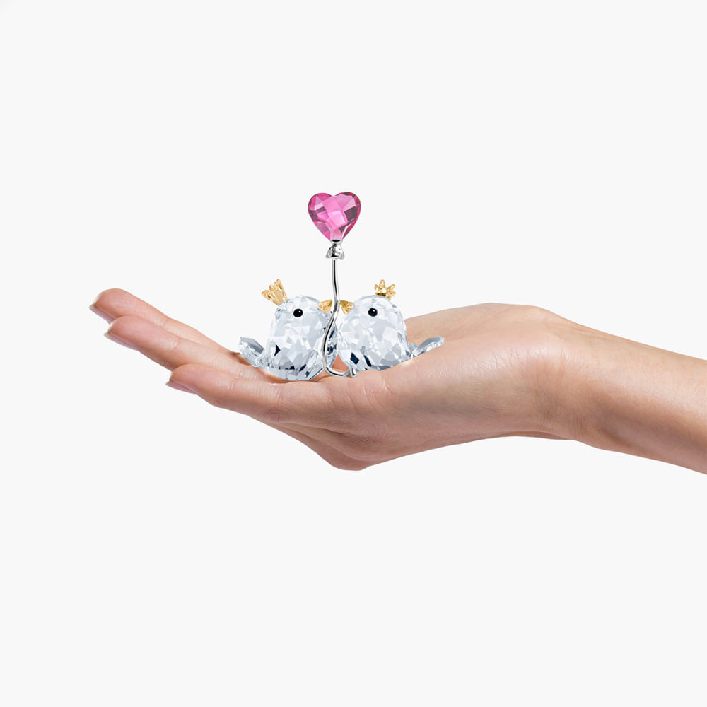 Imagem modelo efeito hover