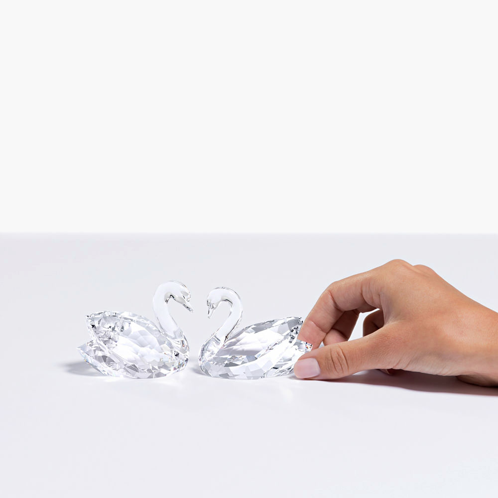 Imagem modelo efeito hover