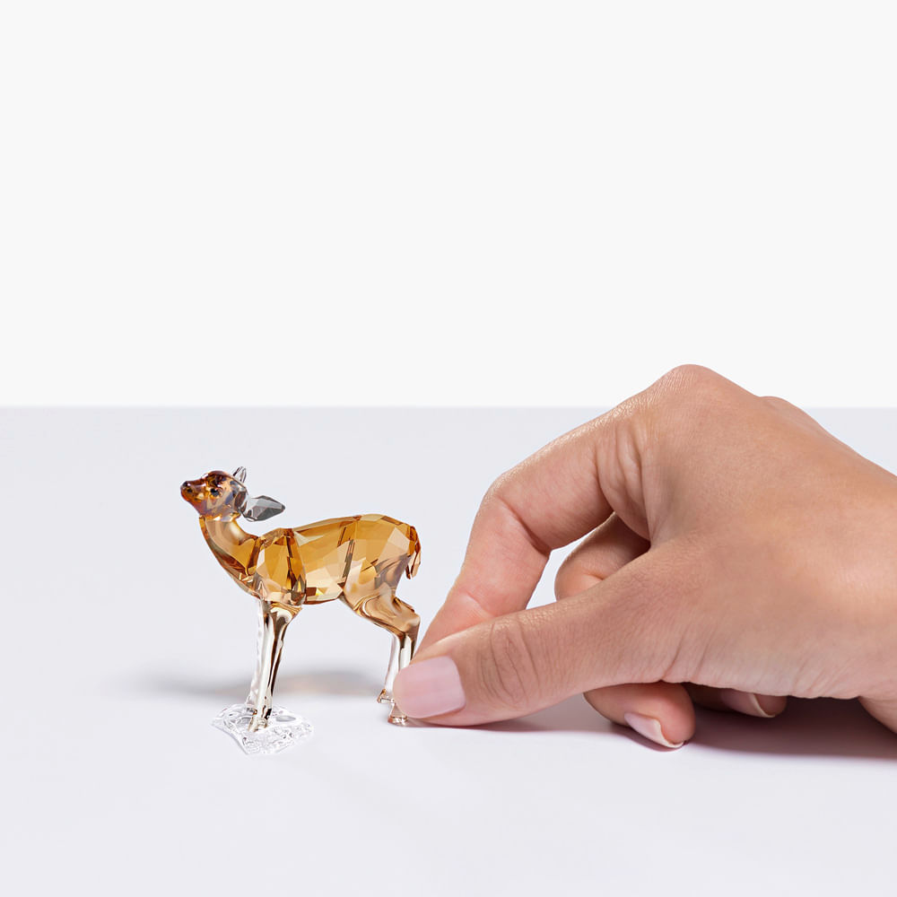 Imagem modelo efeito hover