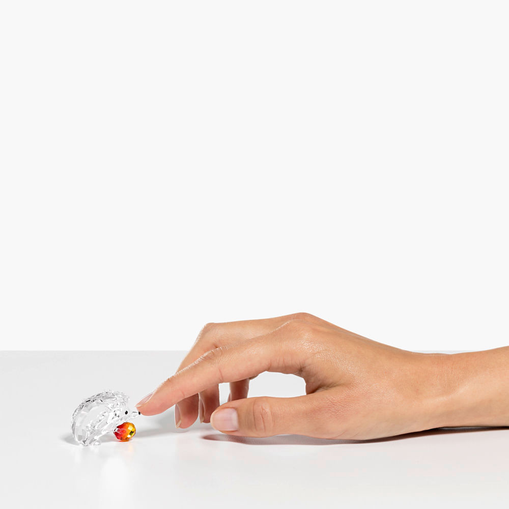 Imagem modelo efeito hover