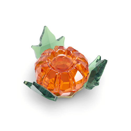 Garden Tales Abóbora Magnética, Grande