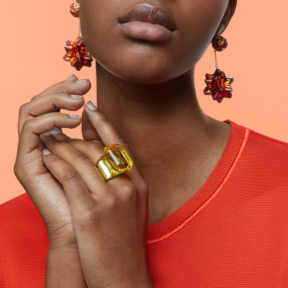 Imagem modelo efeito hover