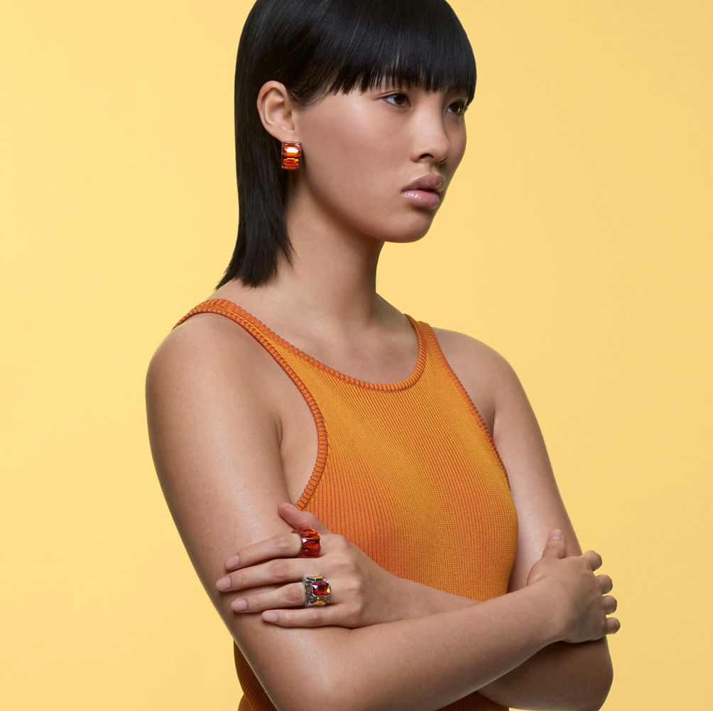 Imagem modelo efeito hover