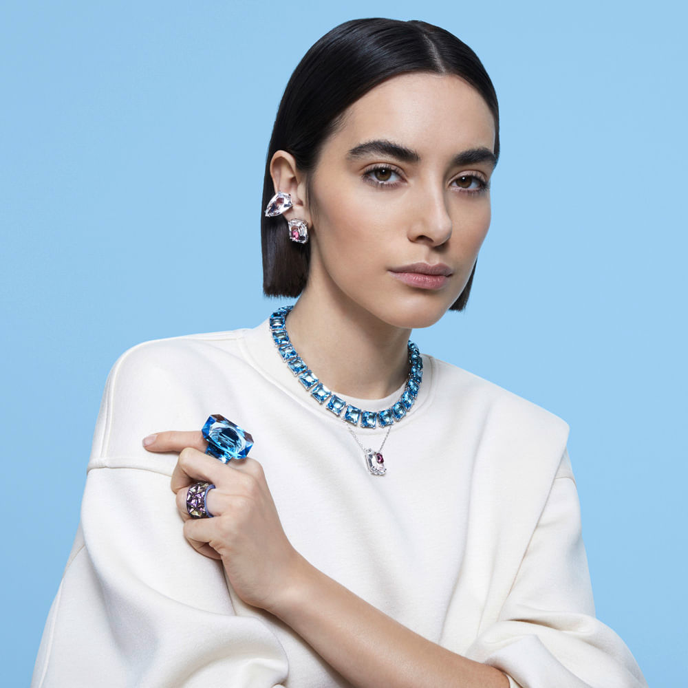 Imagem modelo efeito hover