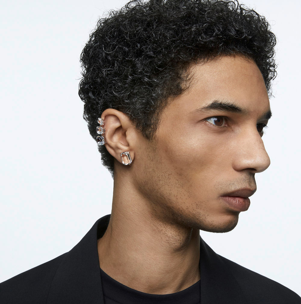 Imagem modelo efeito hover