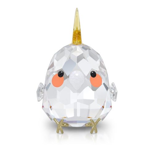 All you Need are Birds Caturra Amarela