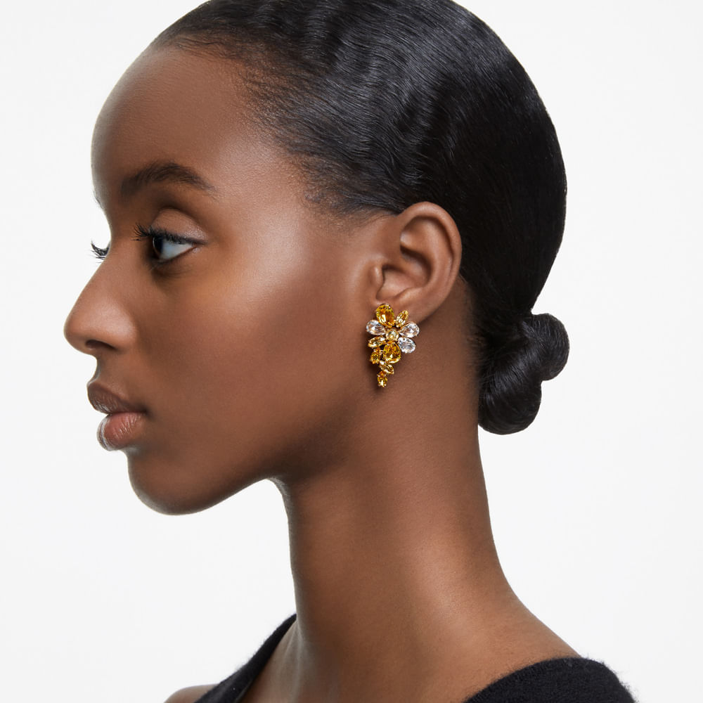 Imagem modelo efeito hover