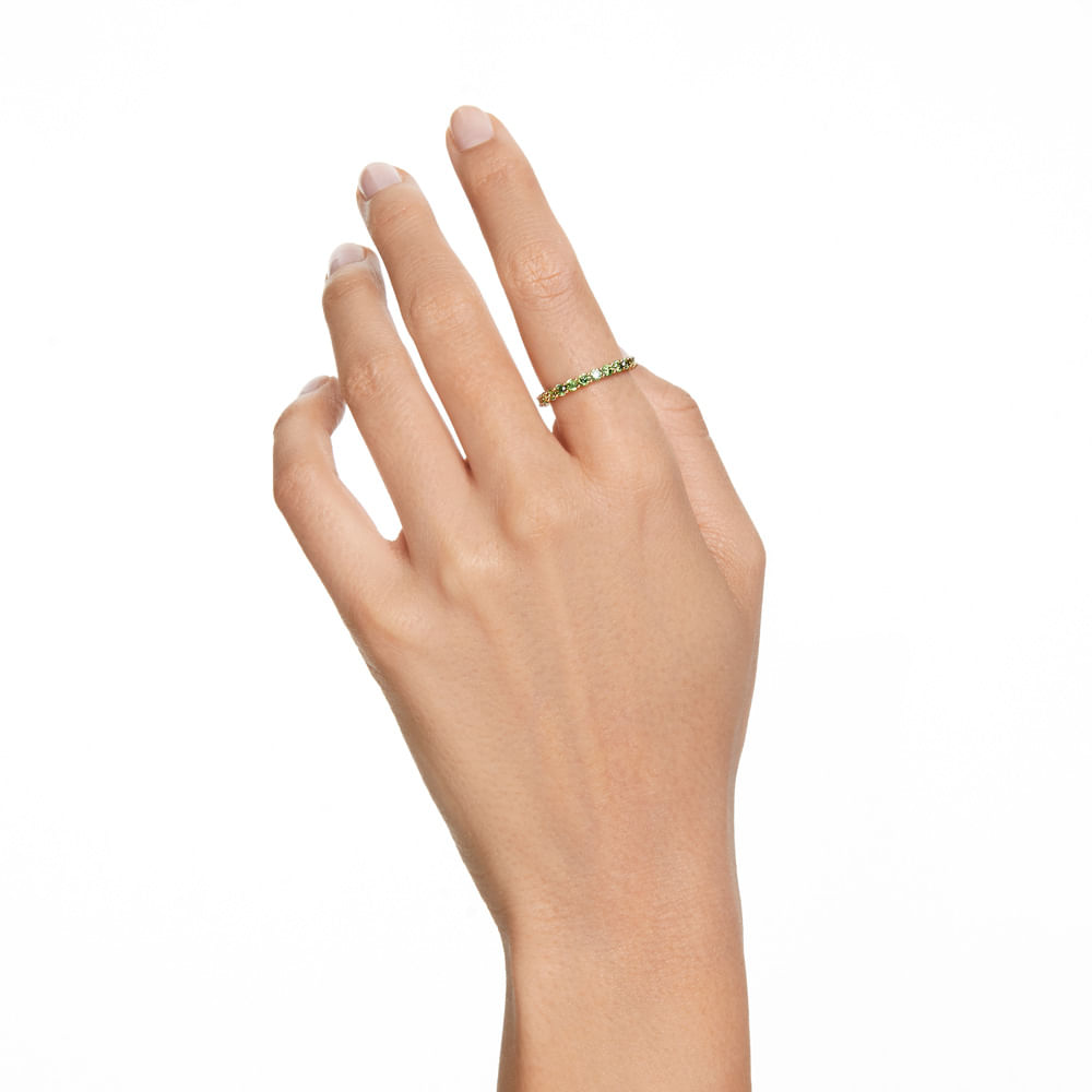 Imagem modelo efeito hover