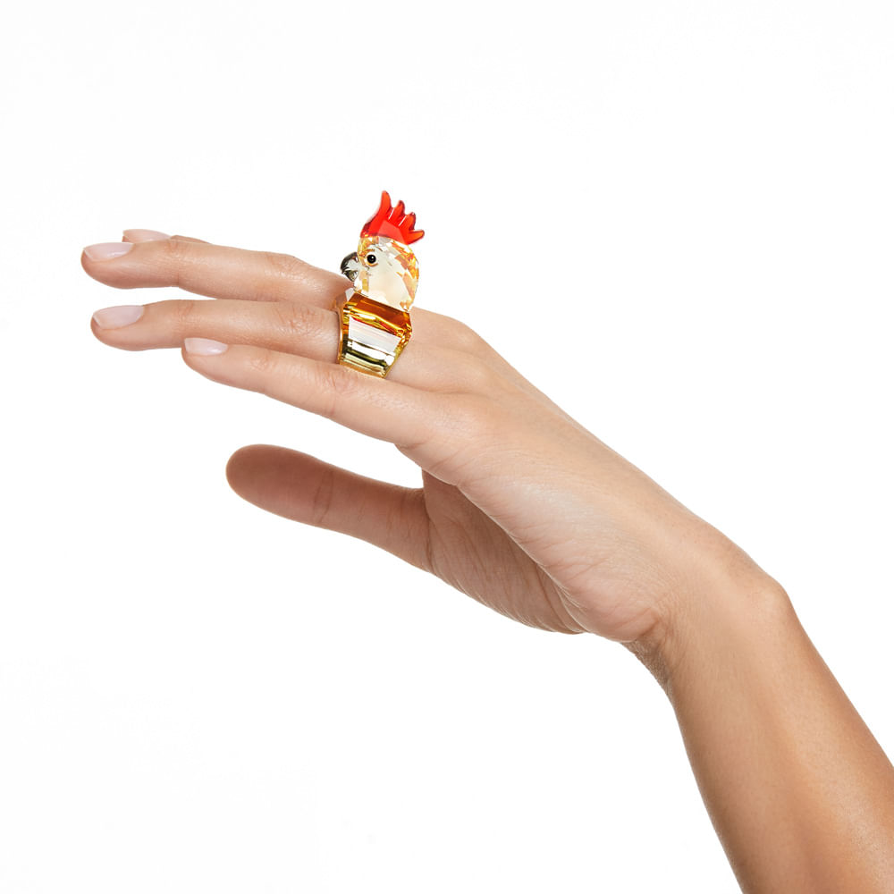 Imagem modelo efeito hover