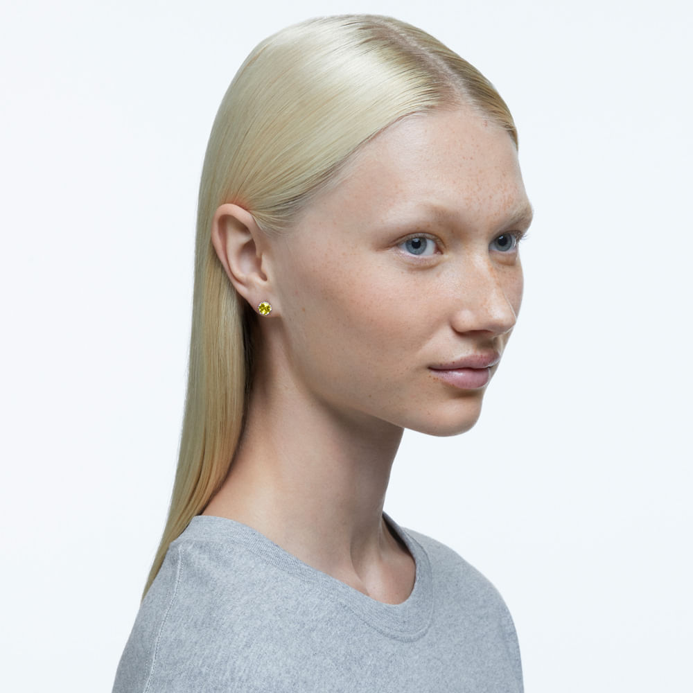 Imagem modelo efeito hover