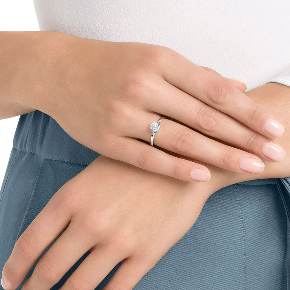 Imagem modelo efeito hover