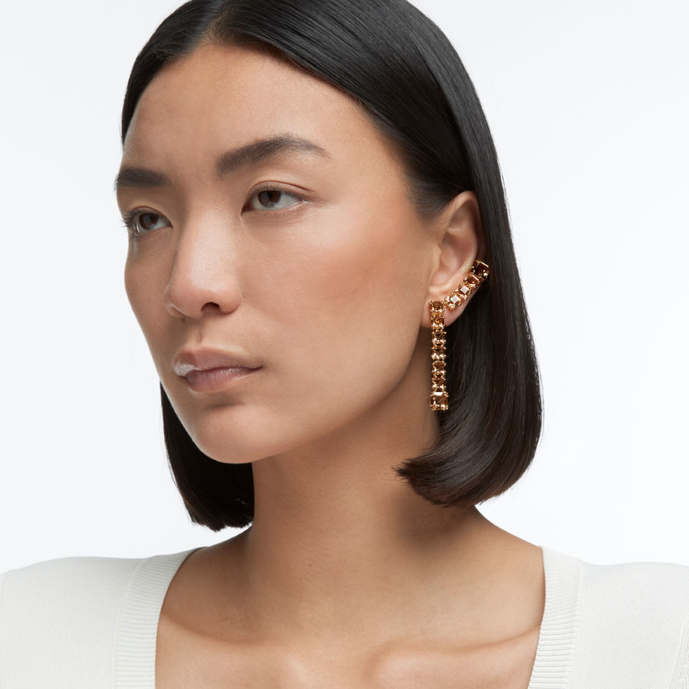 Imagem modelo efeito hover