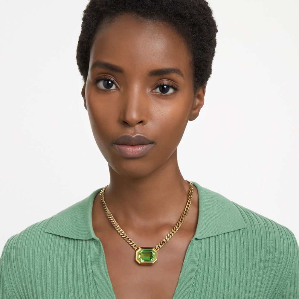 Imagem modelo efeito hover