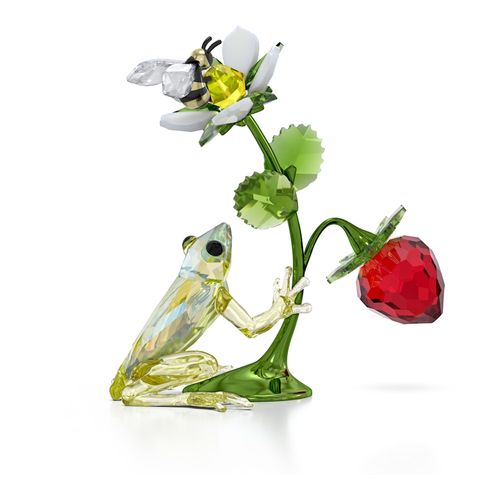 Idyllia Sapo, Abelha e Morango