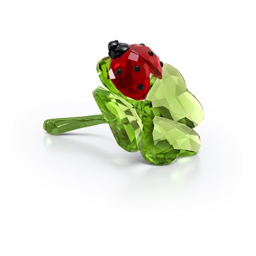 Idyllia Joaninha e Trevo