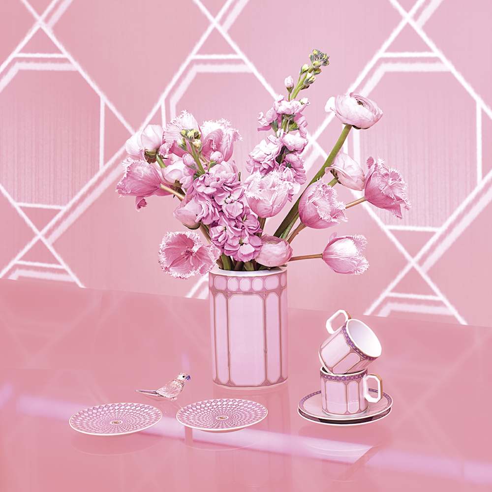 Imagem modelo efeito hover