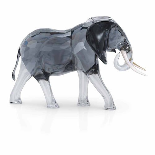 Elegance of Africa Elefante Macho