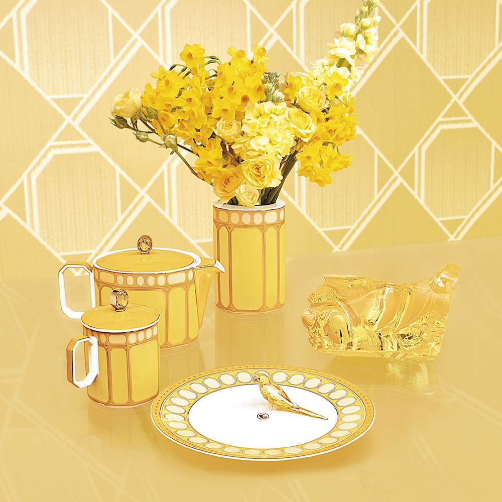 Imagem modelo efeito hover