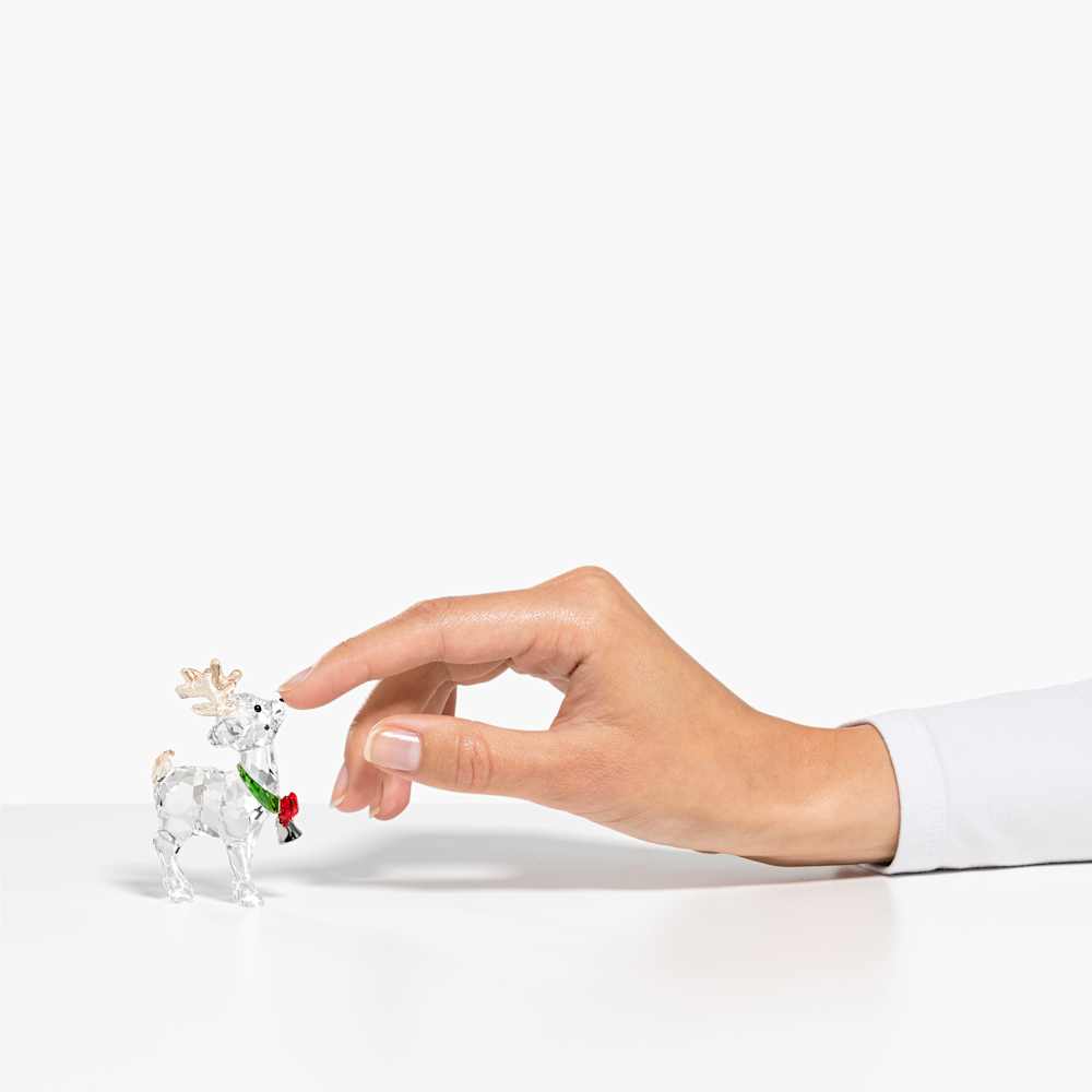 Imagem modelo efeito hover