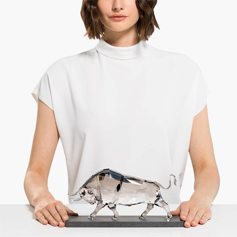 Imagem modelo efeito hover