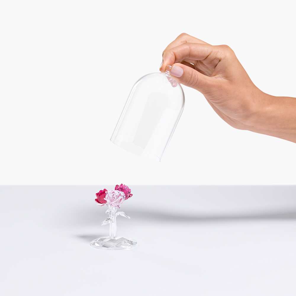 Imagem modelo efeito hover