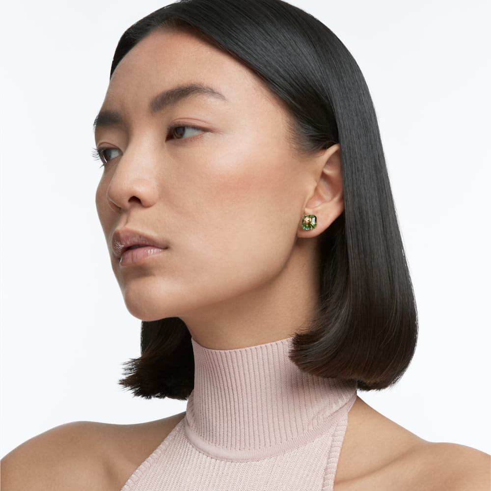 Imagem modelo efeito hover