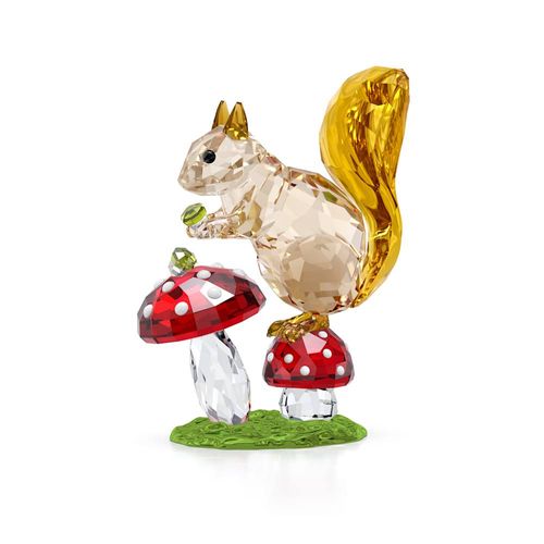 Idyllia Esquilo e Cogumelos