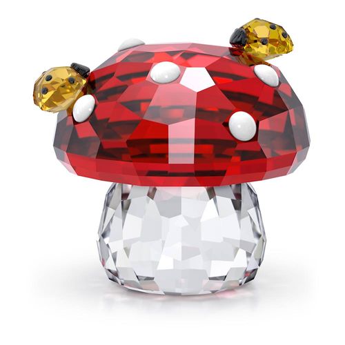 Idyllia Cogumelo e Joaninhas