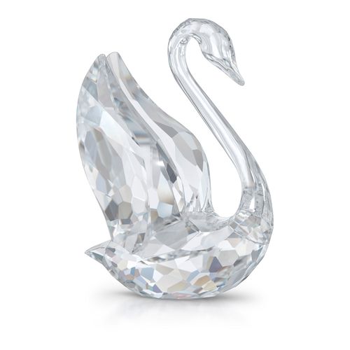 Signum Cisne, Grande