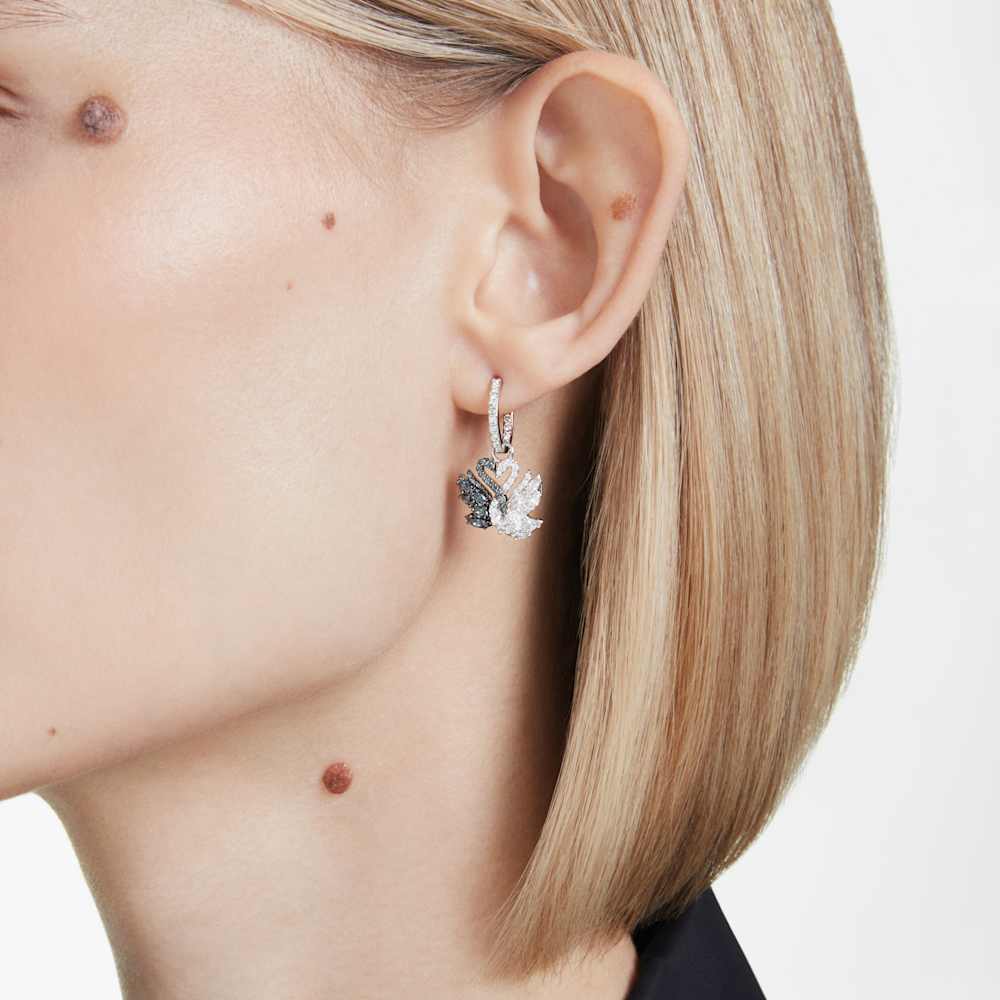 Imagem modelo efeito hover