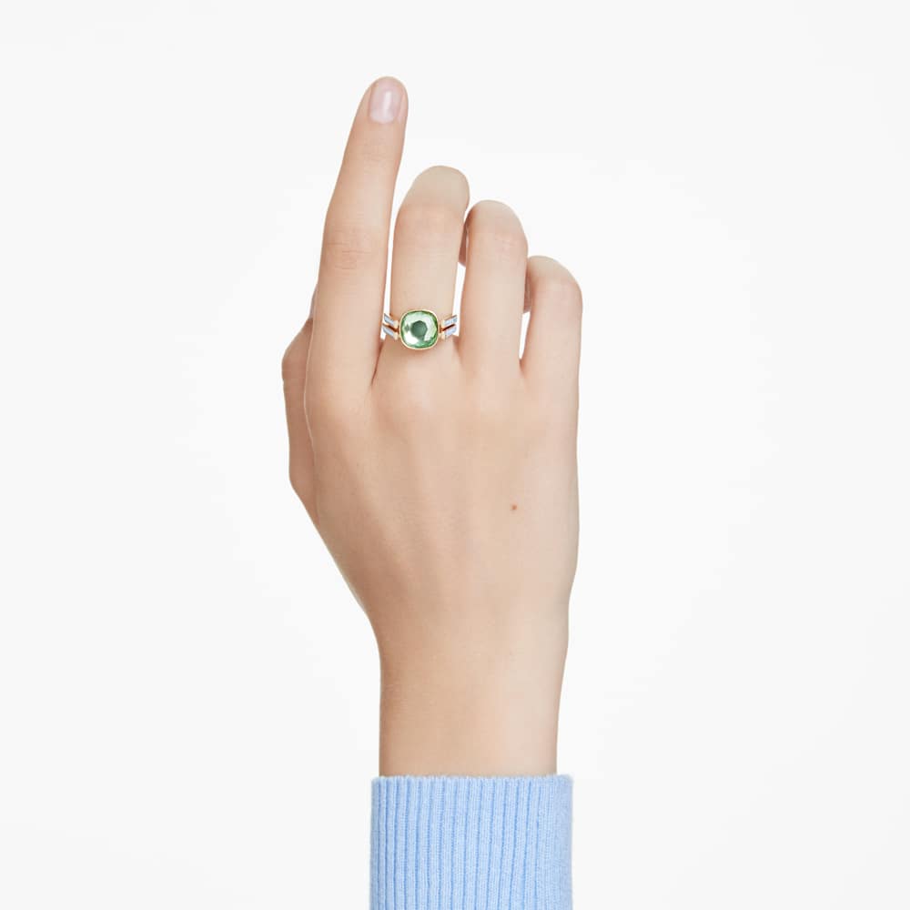 Imagem modelo efeito hover