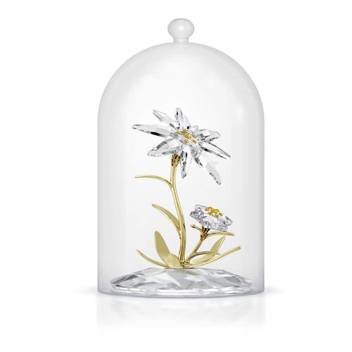 Florere Campânula 130º Aniversário